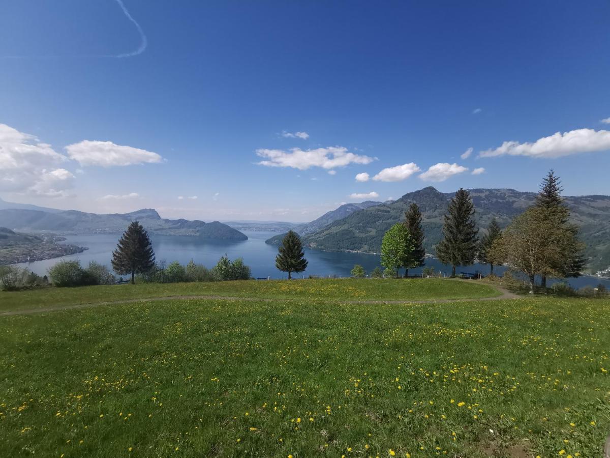 Bellavista *